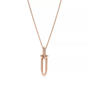 HARDWEAR DROP DOUBLE LINK PEDANT NECKLACE